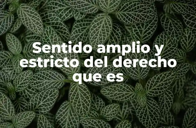 Sentido Amplio y Estricto Del Derecho que es