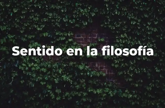 Sentido en la Filosofía 2 La búsqueda del sentido como acto filosófico
