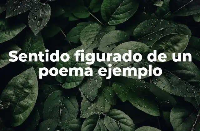 Sentido Figurado de un Poema Ejemplo 2 El lenguaje poético y su función emocional