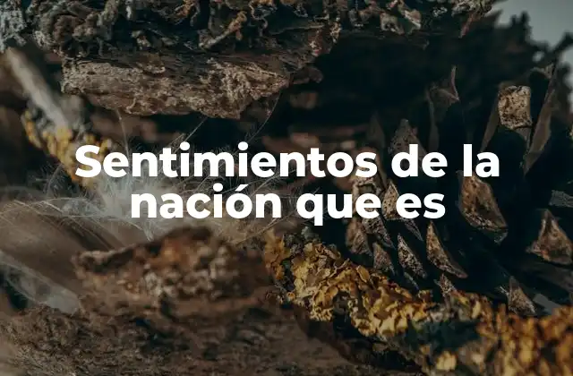 Sentimientos de la Nación que es