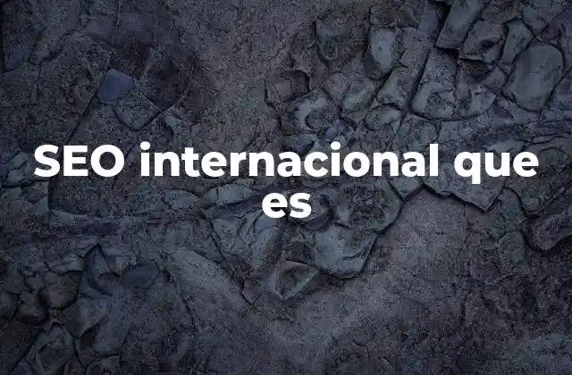 Seo Internacional que es
