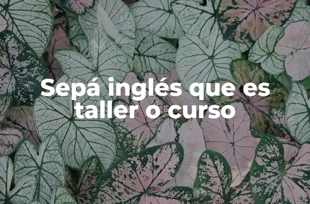 Sepá Inglés que es Taller o Curso