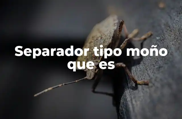 Aplicaciones del conector tipo moño en electrónica industrial
