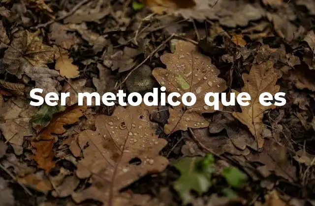 Ser Metodico que es