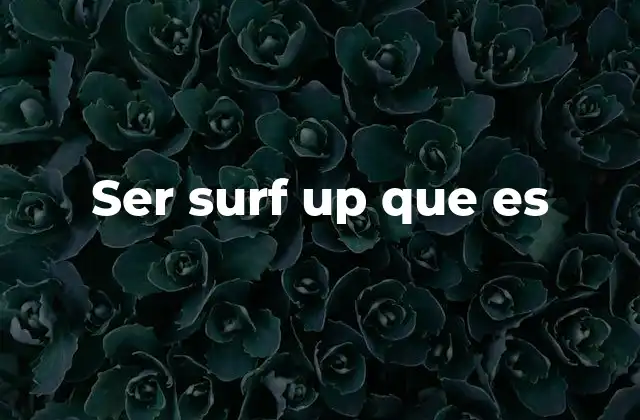 Ser Surf Up que es