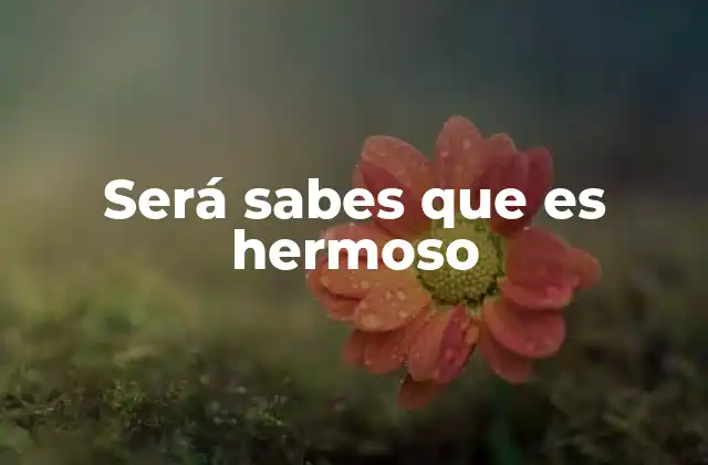 La búsqueda de lo bello a través del conocimiento