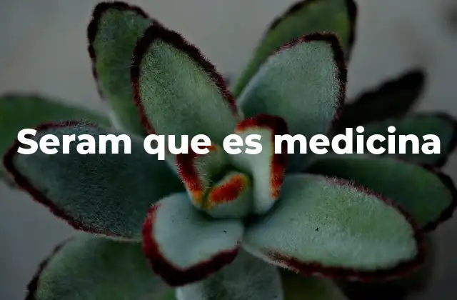 Seram que es Medicina 2 El contexto en el que se usa seram que es medicina
