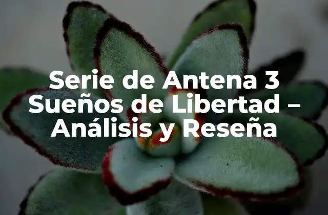 Serie de Antena 3 Sueños de Libertad – Análisis y Reseña