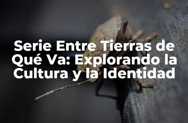 Serie entre Tierras de Qué Va: Explorando la Cultura y la Identidad