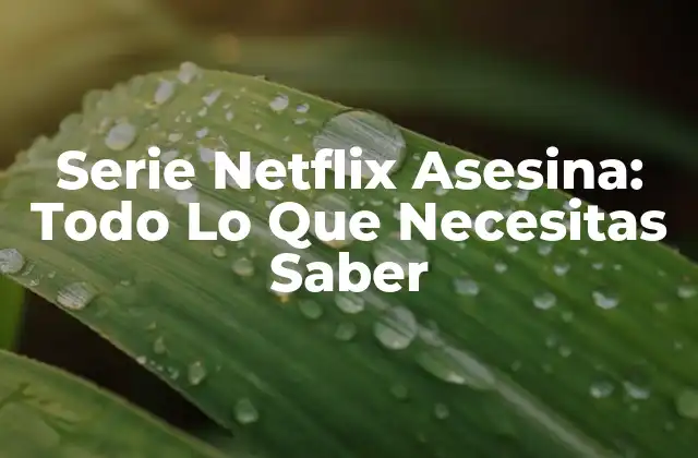 Serie Netflix Asesina: Todo Lo que Necesitas Saber 2 ¿Cuál es el Atractivo de las Series de Asesinos?