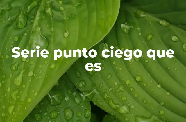 Serie Punto Ciego que es