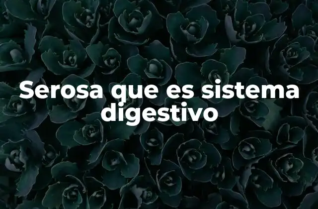 Serosa que es Sistema Digestivo