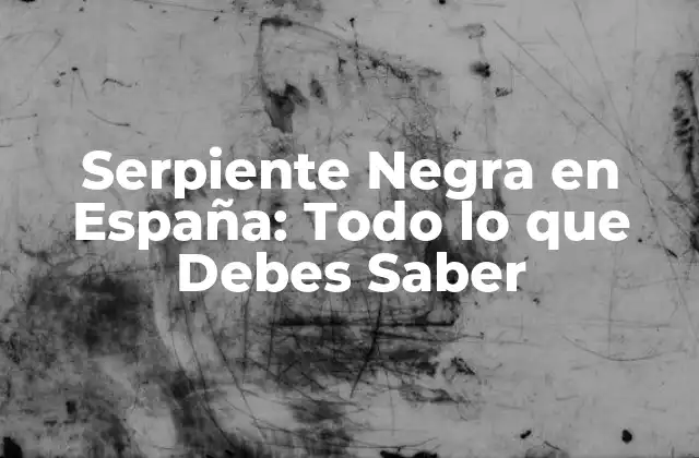Serpiente Negra en España: Todo Lo que Debes Saber