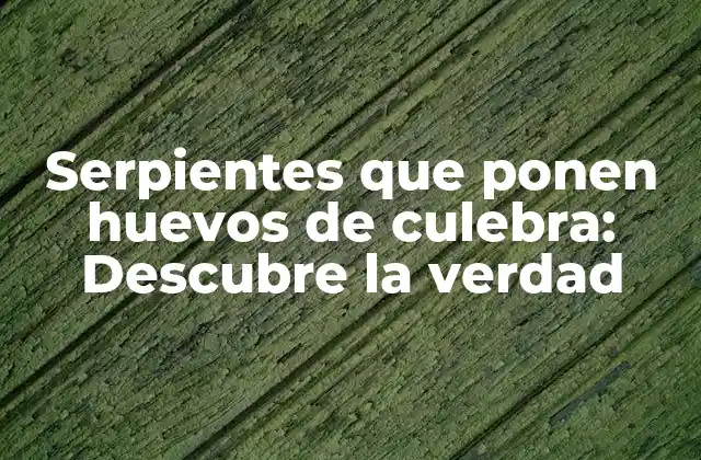 Serpientes que Ponen Huevos de Culebra: Descubre la Verdad