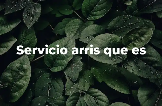 La importancia de los equipos Arris en las redes de telecomunicaciones