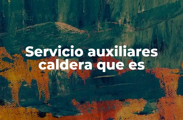 Servicio Auxiliares Caldera que es
