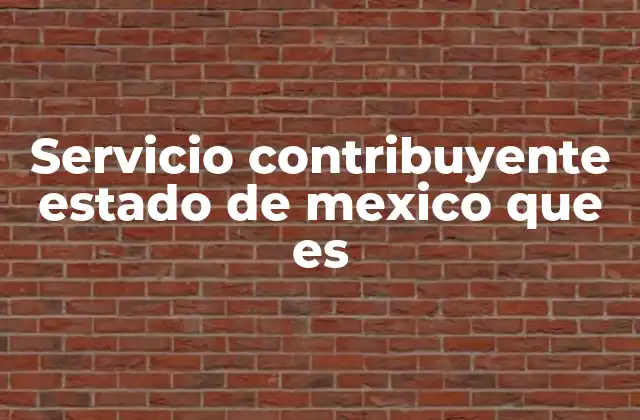 Servicio Contribuyente Estado de Mexico que es