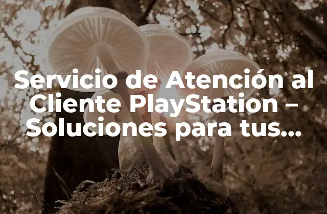 ¿Qué es el Servicio de Atención al Cliente PlayStation?