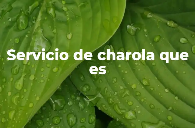 Servicio de Charola que es