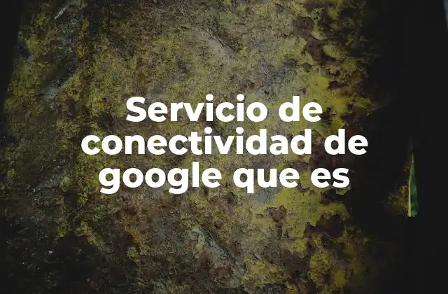 Servicio de Conectividad de Google que es