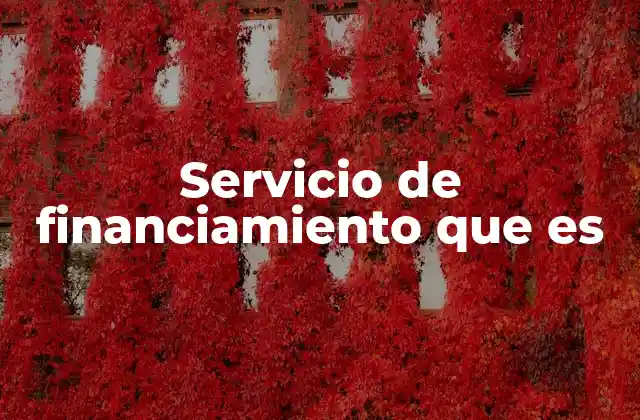 Servicio de Financiamiento que es