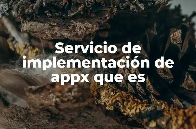 Servicio de Implementación de Appx que es 2 La importancia de una correcta integración de AppX en el entorno empresarial