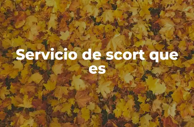 Servicio de Scort que es