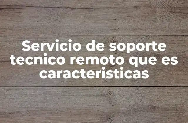Servicio de Soporte Tecnico Remoto que es Caracteristicas