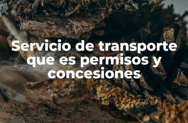 Servicio de Transporte que es Permisos y Concesiones
