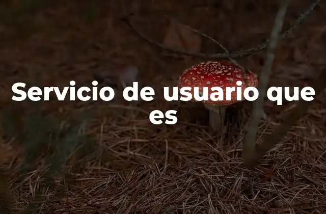 Servicio de Usuario que es