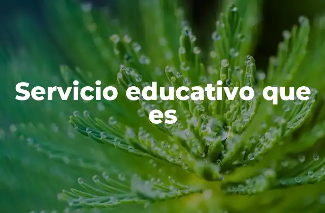 La importancia del servicio educativo en la sociedad