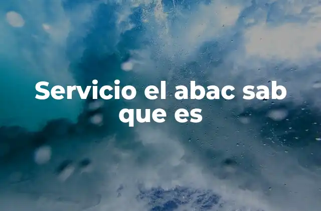 Servicio el Abac Sab que es