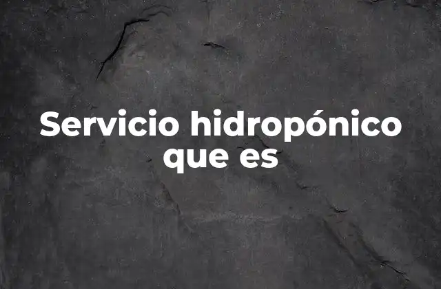 Servicio Hidropónico que es