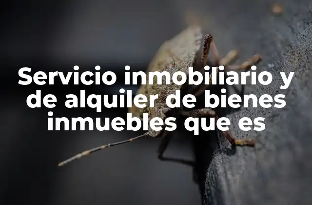 Servicio Inmobiliario y de Alquiler de Bienes Inmuebles que es