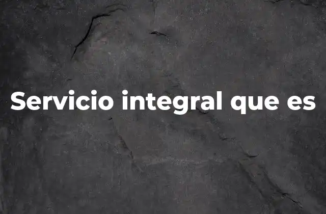 Servicio Integral que es