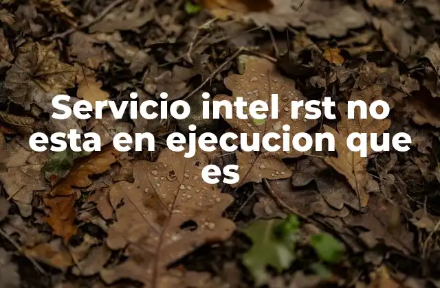 Servicio Intel Rst No Esta en Ejecucion que es