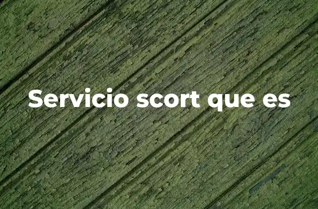 Servicio Scort que es 2 El rol social y profesional del acompañamiento en eventos