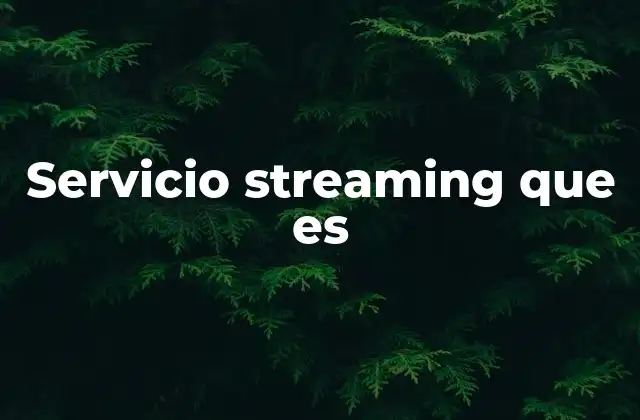 Servicio Streaming que es