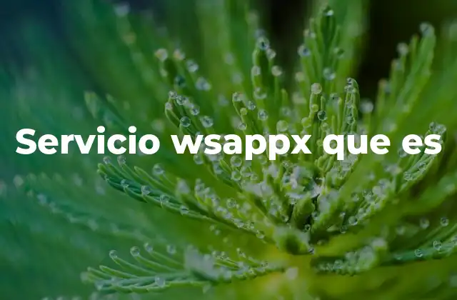 Servicio Wsappx que es 2 Cómo el servicio wsappx interactúa con el sistema operativo