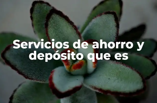 Servicios de Ahorro y Depósito que es