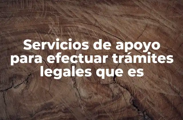 Servicios de Apoyo para Efectuar Trámites Legales que es