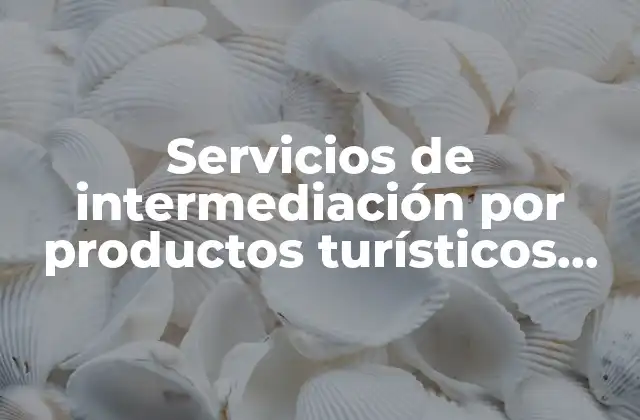 Servicios de Intermediación por Productos Turísticos que es