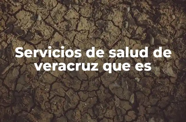 Servicios de Salud de Veracruz que es