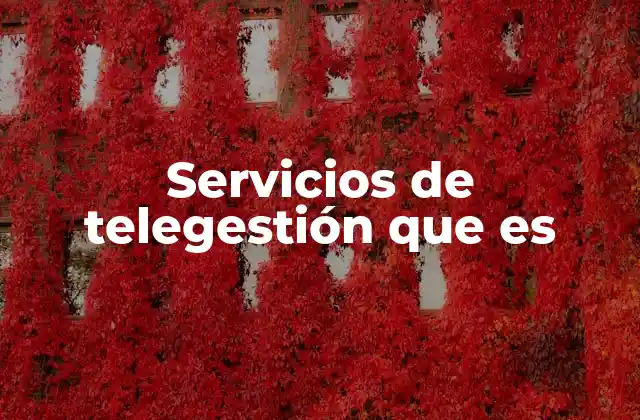 Servicios de Telegestión que es