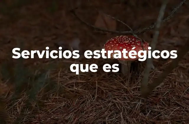 Servicios Estratégicos que es
