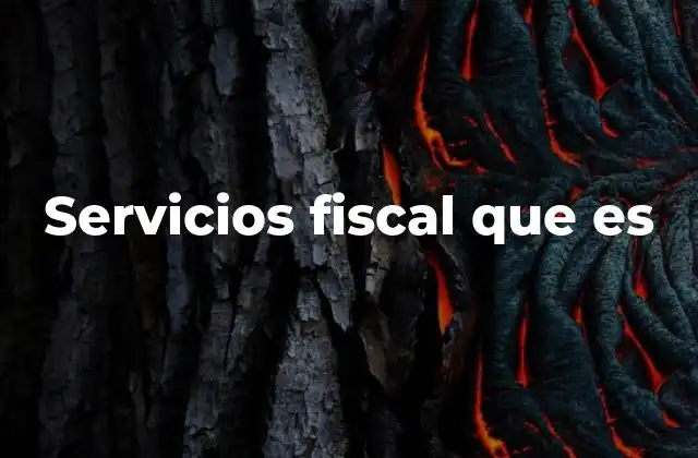 Servicios Fiscal que es