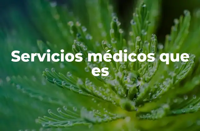 Servicios Médicos que es