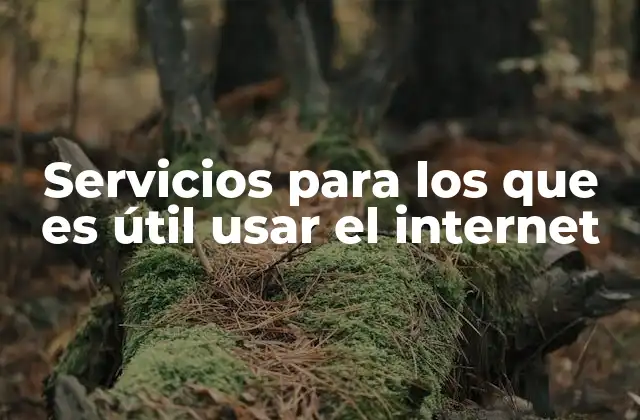 Servicios para los que es Útil Usar el Internet 2 El papel del internet en la transformación de los servicios modernos