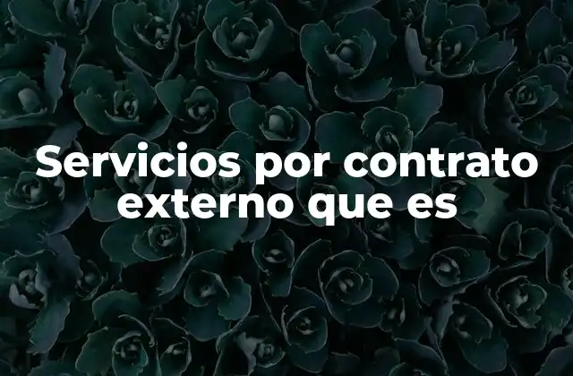 Servicios por Contrato Externo que es