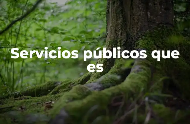 Servicios Públicos que es